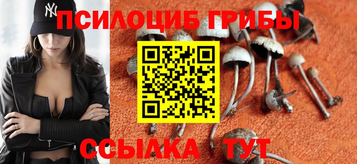 Галлюциногенные грибы прущие грибы  Псилоцибиновые грибы мицелий  Арсеньев  Вход с VPN 